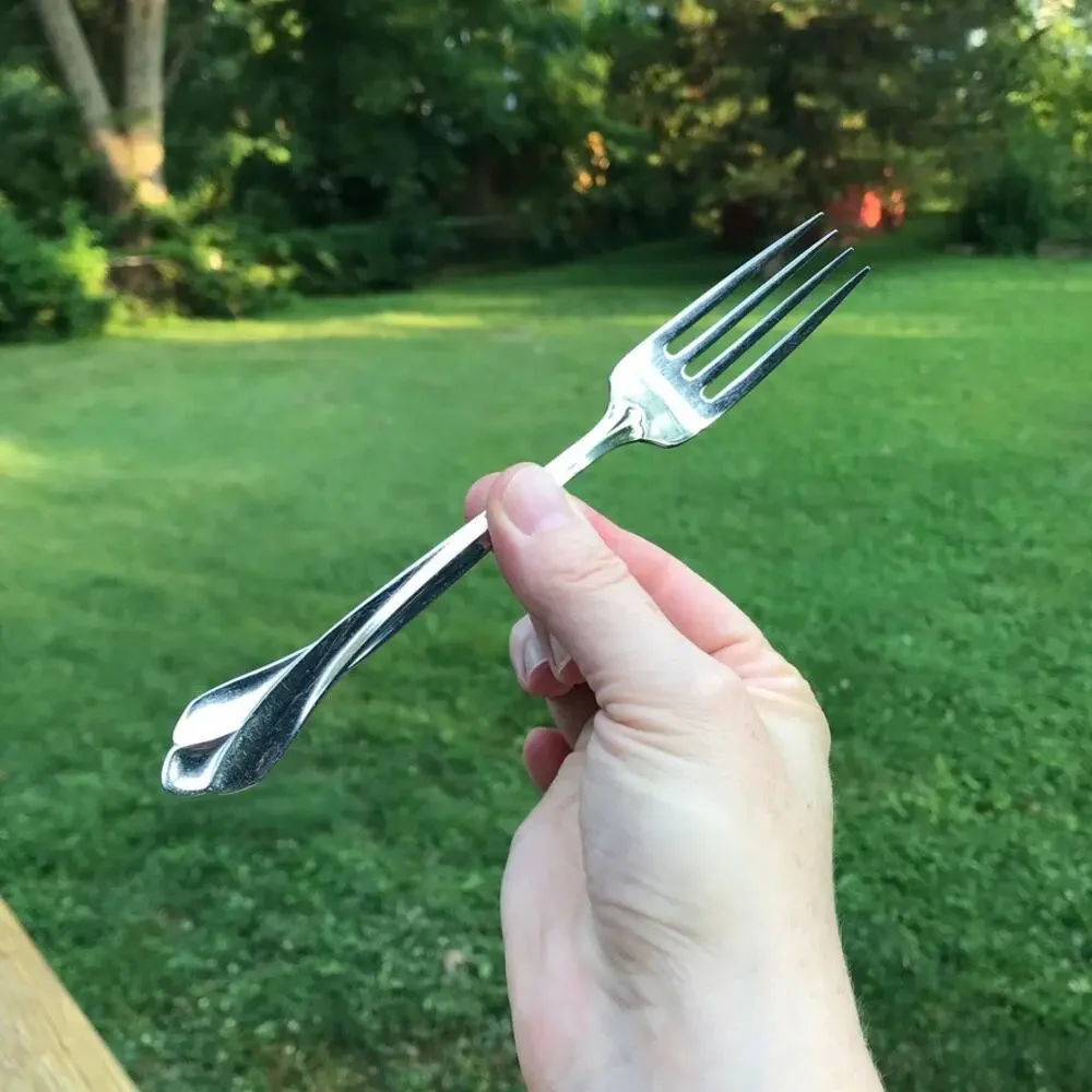 Oneida Tribeca glossy stainless flatware - single dinner fork